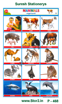 Mammals-Picture Chart No.-468