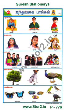 5 Vagai Paalkal-Picture Chart No.-776