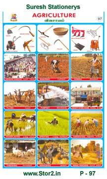 Agriculture - Picture Chart No - 97