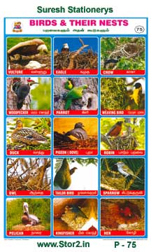 Birds And Nests - Picture Chart No - 75