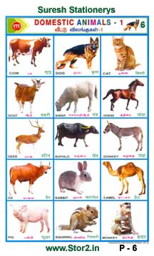 Domestic Animals -1 - Educational Picture Chart No - 6